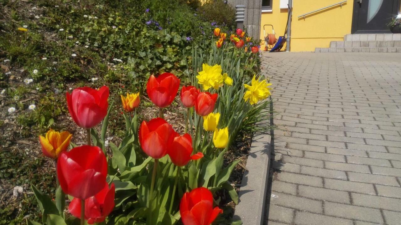 Ferienwohnung Oberpfannenstiel Bernsbach Eksteriør billede